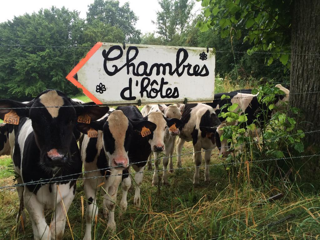 Les Chambres De Ribeaufontaine Dorengt Exteriör bild