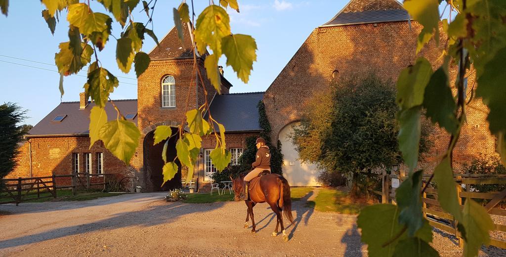 Les Chambres De Ribeaufontaine Dorengt Exteriör bild