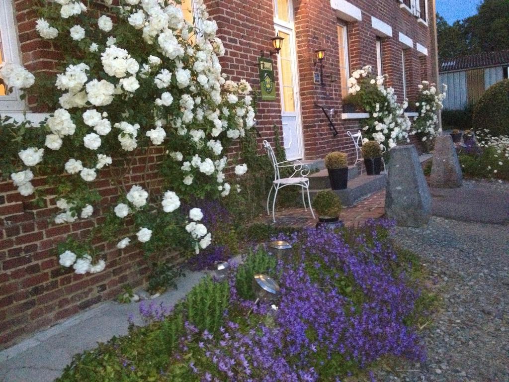 Les Chambres De Ribeaufontaine Dorengt Exteriör bild